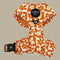 Pablo & Co. RETRO DAZIE Adjustable Dog Harness