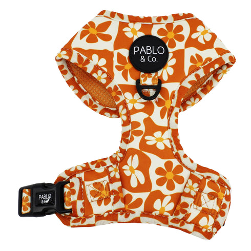 PABLO & CO. ADJUSTABLE HARNESS