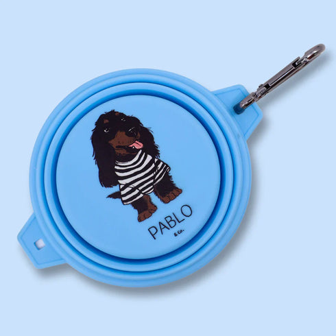 PABLO & CO. COLLAPSIBLE DOG WATER BOWL