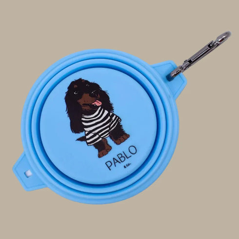 Pablo & Co. Collapsible Dog Water Bowl