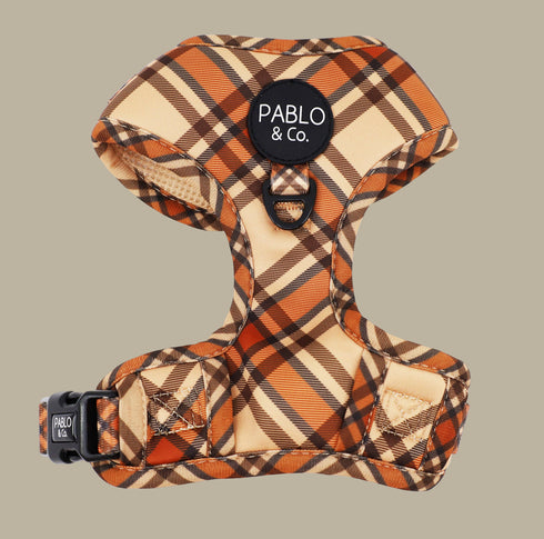 Pablo & Co. KENSINGTON Adjustable Dog Harness
