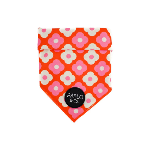 PABLO & CO. BANDANA
