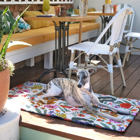 A greyhound rests on a colorful travel mat adorned with floral patterns, situated on a wooden patio. Surrounding the dog are wicker chairs and a table, with potted plants enhancing the vibrant outdoor setting.