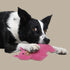 Country Tails Pig Chew Dog Toy