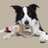 Country Tails Chicken ROPE RING Dog Toy