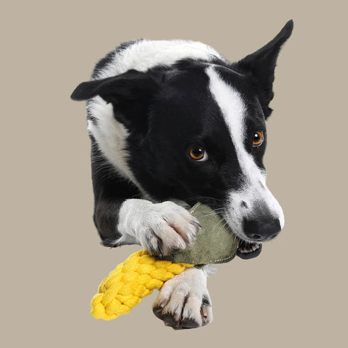 Country Tails SWEET CORN Rope Dog Toy