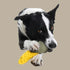 Country Tails SWEET CORN Rope Dog Toy