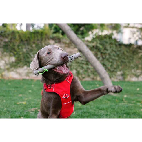 DOOG Stick Family New Twiggy Wife