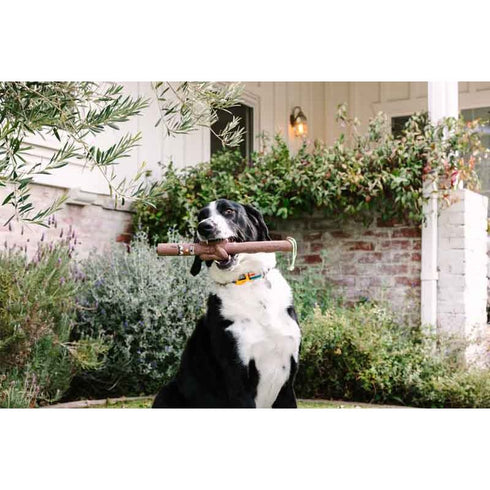 DOOG Stick Family New Uncle Chuck