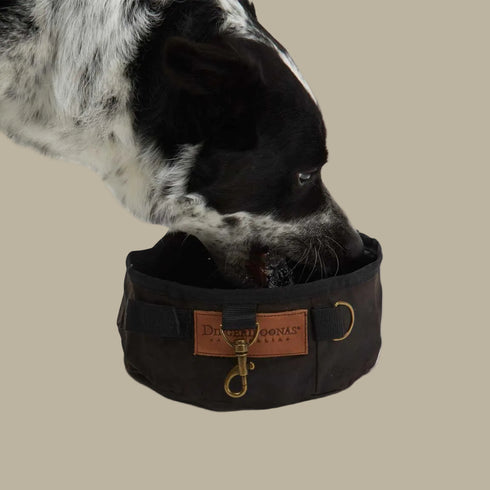 Doggie’s Waterhole