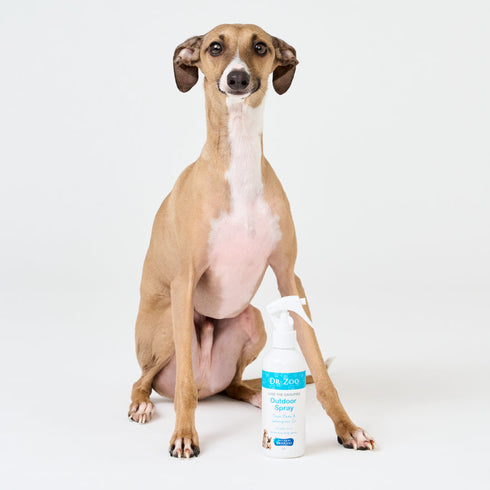 Dr Zoo Lose The Groupies Outdoor Spray