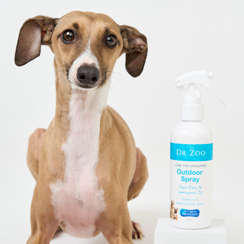 Dr Zoo Lose The Groupies Outdoor Spray