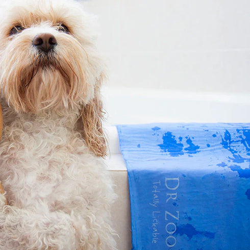 Dr Zoo Quick Absorb Shammy