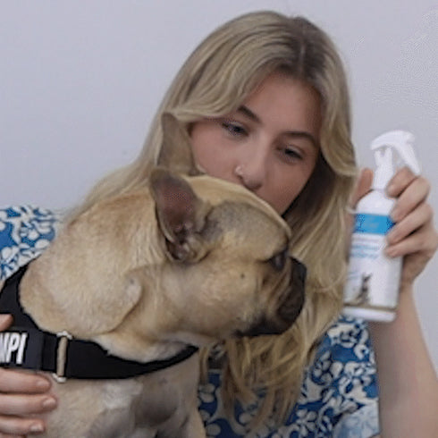 Dr Zoo Lose The Groupies Outdoor Spray