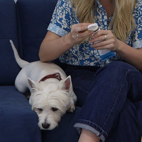 Dr Zoo Scratch Cream