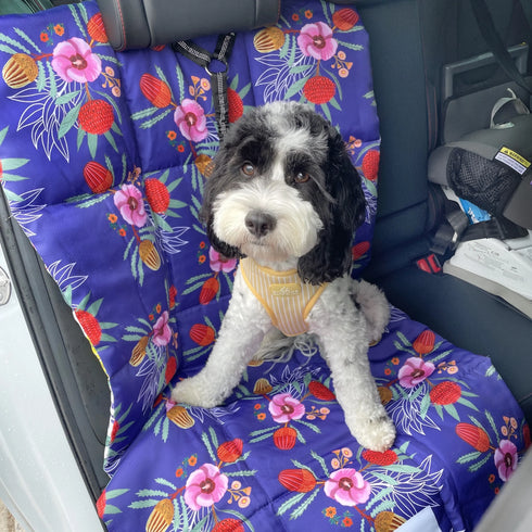A fluffy black and white dog sits on a vibrant floral-patterned travel mat inside a car. The mat features a colorful design with pink and red flowers against a deep blue background, adding a cheerful touch to the vehicles interior.