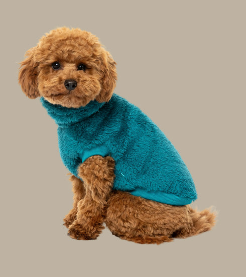 Fuzzyard Turtle Teddy Sweater 2026 – Ultra-Soft Teddy Fleece Dog Jumper - Deep Teal