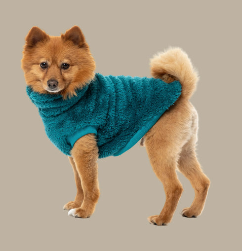 Fuzzyard Turtle Teddy Sweater 2026 – Ultra-Soft Teddy Fleece Dog Jumper - Deep Teal