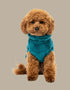 Fuzzyard Turtle Teddy Sweater 2026 – Ultra-Soft Teddy Fleece Dog Jumper - Deep Teal