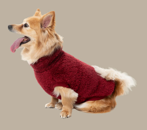 Fuzzyard Turtle Teddy Sweater 2026 – Ultra-Soft Teddy Fleece Dog Jumper - Maroon