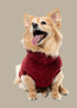 Fuzzyard Turtle Teddy Sweater 2026 – Ultra-Soft Teddy Fleece Dog Jumper - Maroon