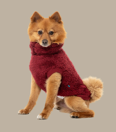 Fuzzyard Turtle Teddy Sweater 2026 – Ultra-Soft Teddy Fleece Dog Jumper - Maroon