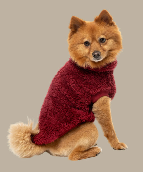 Fuzzyard Turtle Teddy Sweater 2026 – Ultra-Soft Teddy Fleece Dog Jumper - Maroon