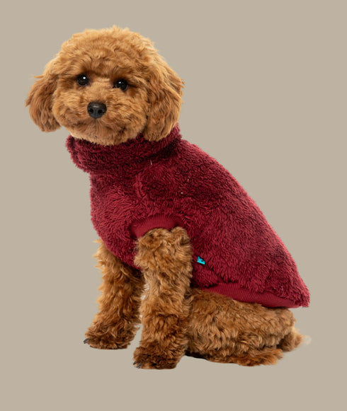 Fuzzyard Turtle Teddy Sweater 2026 – Ultra-Soft Teddy Fleece Dog Jumper - Maroon