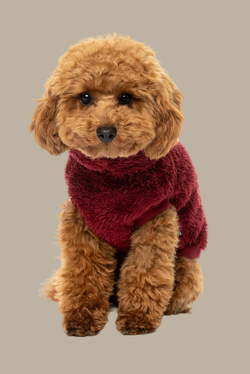 Fuzzyard Turtle Teddy Sweater 2026 – Ultra-Soft Teddy Fleece Dog Jumper - Maroon