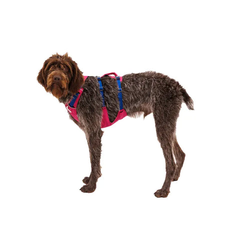 RUFFWEAR HARNESS NEW FLAGLINE