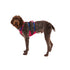 RUFFWEAR HARNESS NEW FLAGLINE