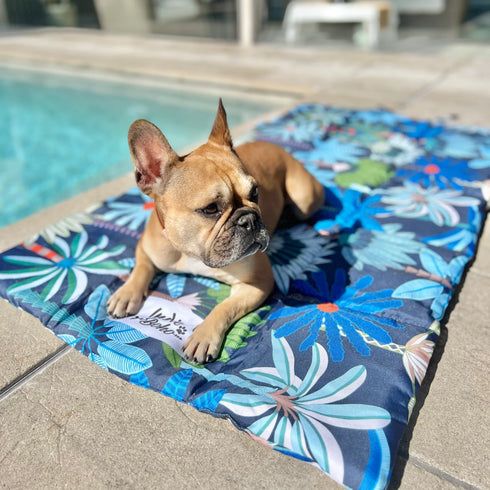 A light brown French Bulldog rests on a colorful travel mat featuring a vibrant floral pattern in shades of blue, green, and orange. The mat is placed on a stone surface near a swimming pool, reflecting a sunny outdoor setting.