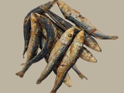 Freeze Dried Sardines