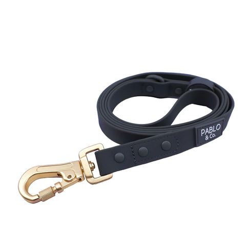 PABLO & CO. WATERPROOF LEASH
