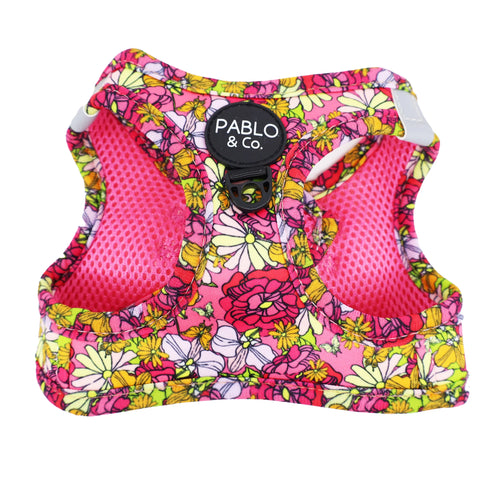 PABLO & CO. CAT STEP IN HARNESS