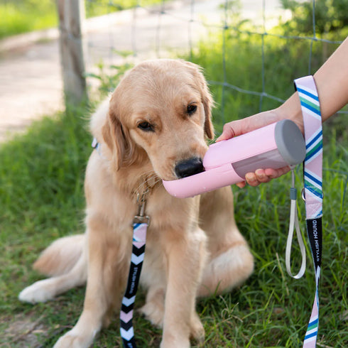 Pink Travel Water Bottle with Slidable Bowl