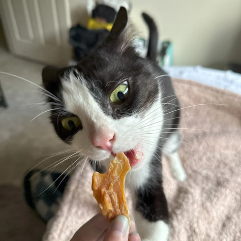 Biggie's COCONUT CHICKEN 125g