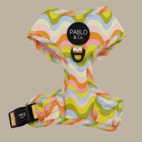 Pablo & Co. Adjustable Dog Harness - SALE