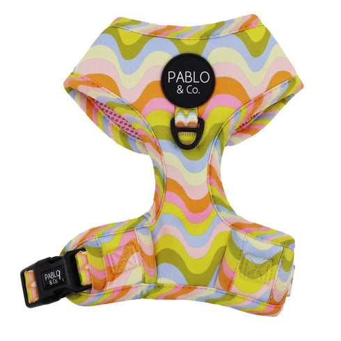 PABLO & CO. ADJUSTABLE HARNESS