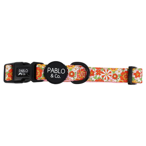PABLO & CO. COLLAR