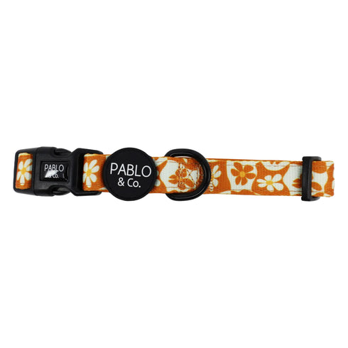 PABLO & CO. COLLAR
