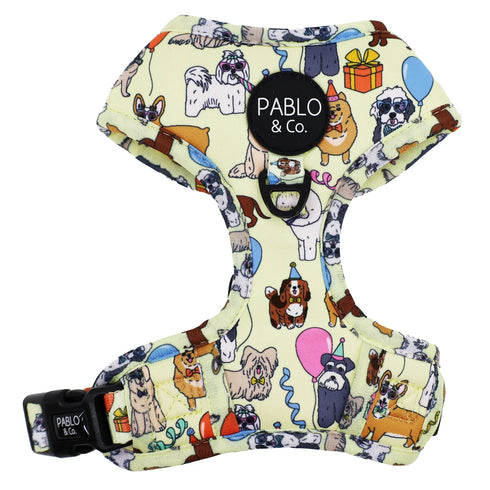 PABLO & CO. ADJUSTABLE HARNESS
