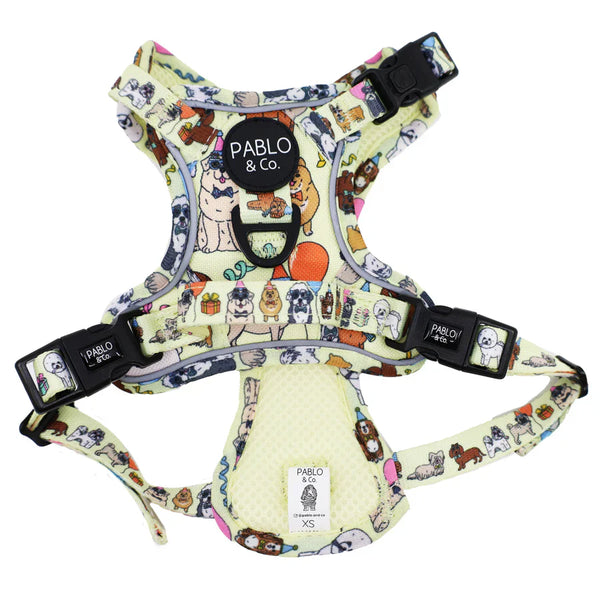 PABLO & CO. ADVENTURE HARNESS