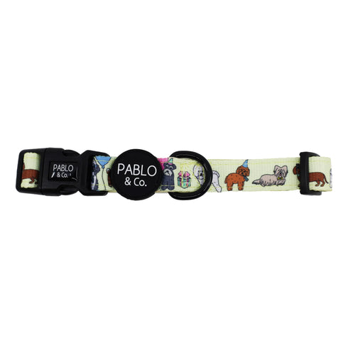PABLO & CO. COLLAR