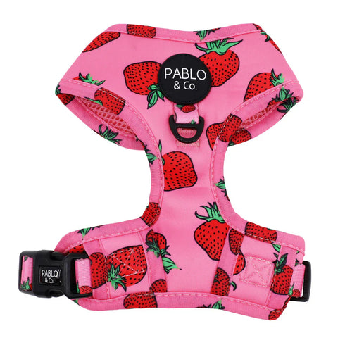 PABLO & CO. ADJUSTABLE HARNESS