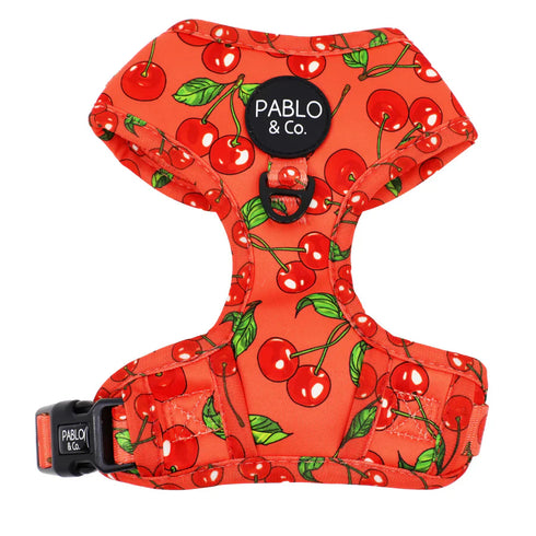 PABLO & CO. ADJUSTABLE HARNESS