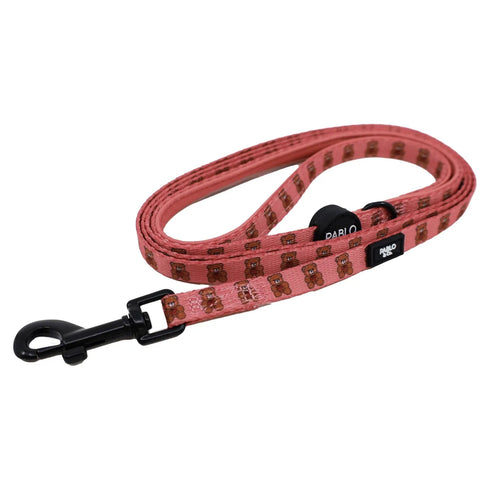 PABLO & CO. CAT LEAD