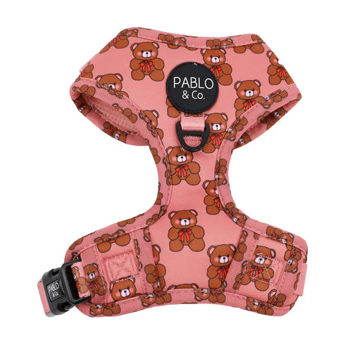 PABLO & CO. ADJUSTABLE HARNESS