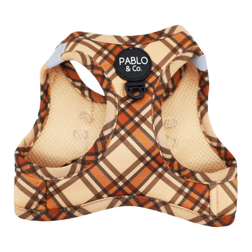 PABLO & CO. CAT STEP IN HARNESS