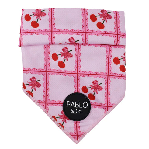 PABLO & CO. BANDANA